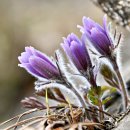 강원특별자치도 정선군 정선읍 행정복지센터 이미지