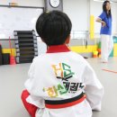 미림유치원 | 화성태권도 아이들의 꿈과 도전이 함께 자라는 곳, 용인대 화산태권도장 후기