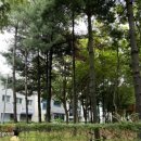 상동중학교 | 한자 급수 시험 도전 안양 사임당 갤러리와 부천 상동중학교 시험장 후기