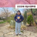 고양이 유치원 | 유치원 등원룩 여아옷 아동복 코코모메 데일리맨투맨 130 착용 후기