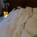 메디카서비스 | Bali 신혼여행 5일차 (테자프라나 비스마, 누사 메디카 출장 의료, 티켓투더문 우붓, 아야나 빌라스...