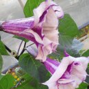 아침농장 이미지