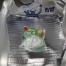 청년피자 나주시청점