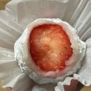 청불19포차 | [1월] 아직 낯설고 낯선 2026년