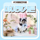 마이펫가든 | 거제 수월 실내 애견카페 마이펫가든