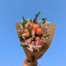 노란담장 | 장미투어 첫번째 :: 서촌 장미 담장 (feat. 뽀빠이 화원, 구르미)