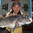 **슈퍼** 대왕우럭 72cm, 한판승부 체포작전성공.**기록 갱신!! 이미지