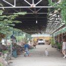 남기동길 이미지