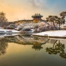 경기도 수원시 팔달구 수원천로392번길 이미지