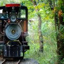 에코랜드 이미지