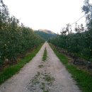 호종농장 이미지