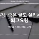 시작해봐요 글쓰기 이미지