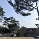 [충남/보령]피노비스타 애견펜션