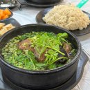 나능이능이버섯백숙춘천점 이미지