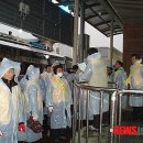 주정차-50 이미지
