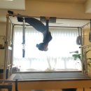 상남동159 이미지