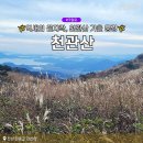 ♧11월12일(목)전남 장흥 천관산 (723m) 도립공원 산행 예약 이미지