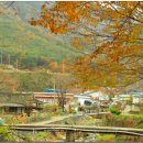 학동목장 이미지