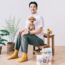 윌리스빌 이미지