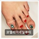 코델리아 네일뷰티 | 부산 일광 네일샵 코델리아네일뷰티 꼼꼼한 케어와 디자인 추천이 돋보인다