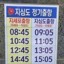 숲속식당민박 | 경남 거제 지심도 배편·터미널·민박·예약-동백꽃 관람기