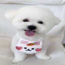 만두네살롱 이미지