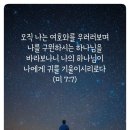 미가 이미지