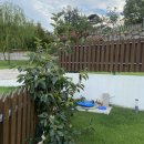 서동가 | [경주 숙소] 경주 양남 독채 펜션, 서동가