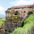 스톤하우스 이미지