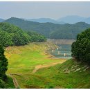 늘푸른낚시터 이미지