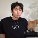코쿤 이미지