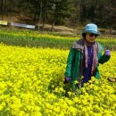 파독전시관 이미지