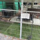 동명보건지소 이미지