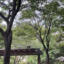 궁내다리길 네이버블로그
