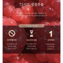 우리들한약국 | 허준 한약국 ,오미자청