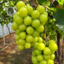 둘이농장 이미지