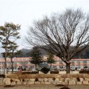 한국산림과학고등학교 이미지