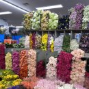 펀비어킹 금광1동점 이미지