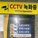 세이폴댄스 이미지