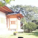 스테이 든해 이미지