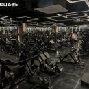 울프피트니스 이미지