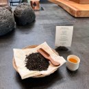 서광오토 | 급 여행