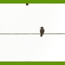 강림한의원 이미지