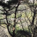 지산리약수터 | 잘 가꾼 정원을 닮은 통도사 산내암자 두번째, 비로암(경남 양산시 하북면 지산리 747)