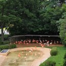 기린07-2 이미지