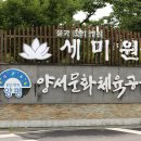 양수리 세미원 연꽃 두물머리 풍경(2024.7.23) 이미지