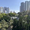 온천제1동 행정복지센터 | 온천장 대형 카페 신상 숲뷰 로띠포레스트 내돈내산