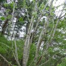 상희농장 이미지