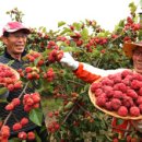 김철수농장 이미지