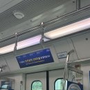 LP소프트(엘피소프트) | 오사카 여행 후기 | 무계획 여행 | 교토 치쿠린 | 대나무 숲 | 고베 | 라피트 열차 | 오사카 아침 식사...